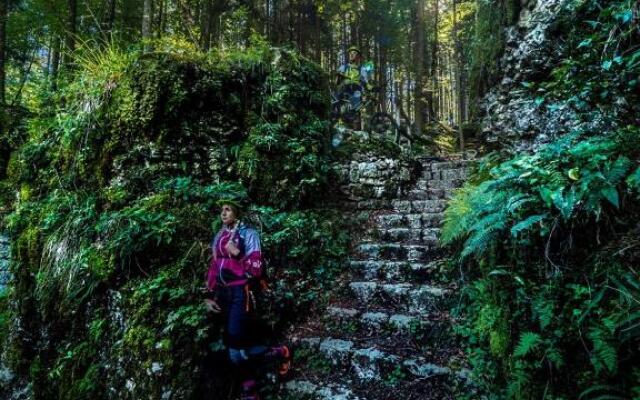 Trentino Apartments - Casa Moser