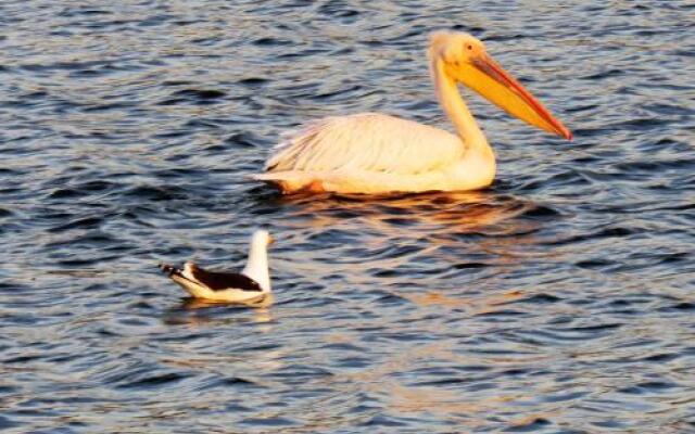 Pro Moni's Guesthouse