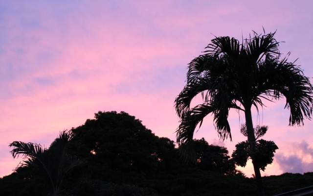 Sweet Spot Stay - Tikis and Treetops