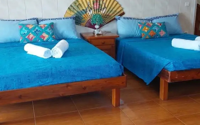 fare pk 2.9 raiateaguest