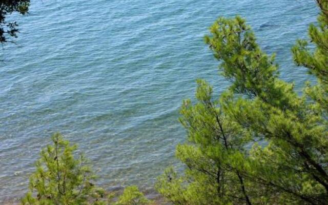 Squirrel Beach Front Villa, Metamorfosi