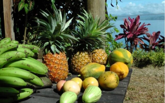 Gecko Lodge Fiji Private Hotel