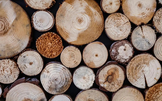 Sleephotels Alsterroom