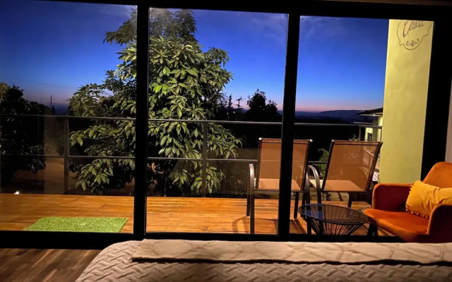 Palta 60 Valle de Guadalupe