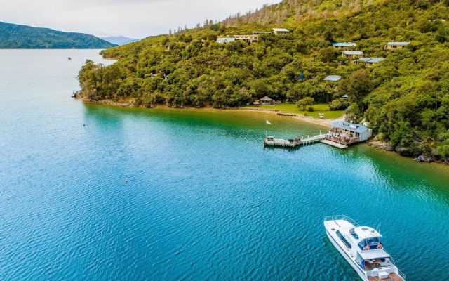 Punga Cove Resort
