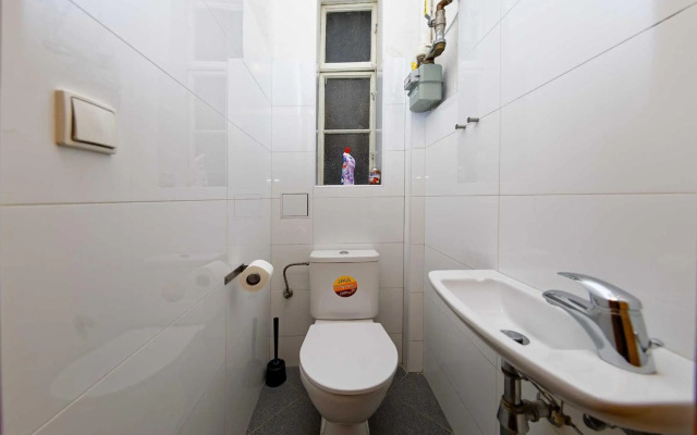 Apartment Manesova 4