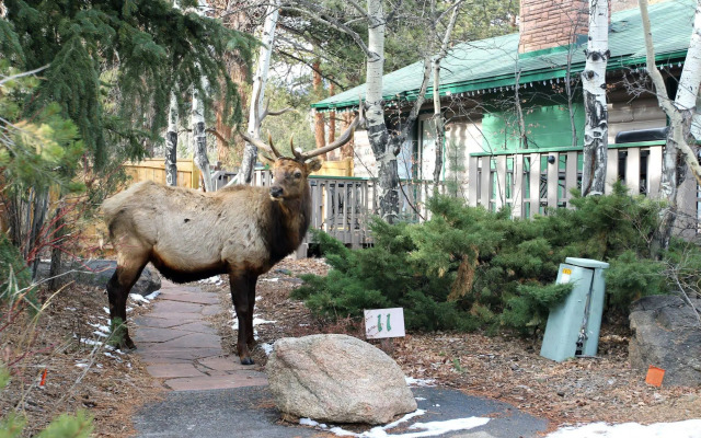 Sunnyside Knoll Resort