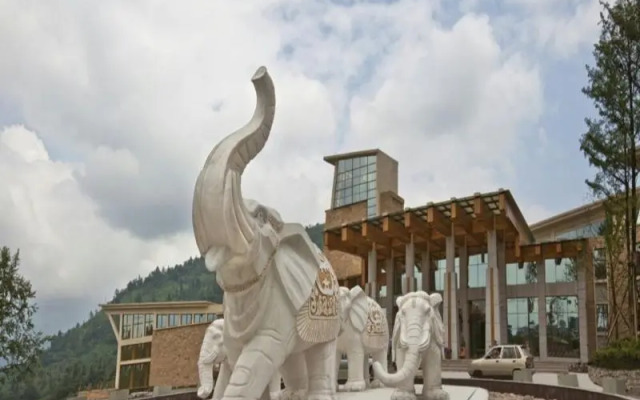 Mount Emei Qilingping Hot Spring Hotel