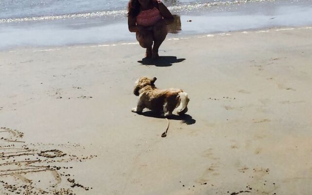 Camping Le Sous Bois