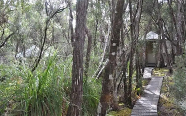 Southwest Wilderness Camp - Tasmania