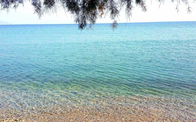 Defne Apart Otel - Datça