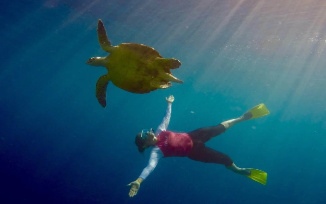 Suffix Retreat - Stay, Dive & Explore Fuvahmulah