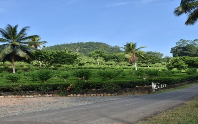 Lotus Resort
