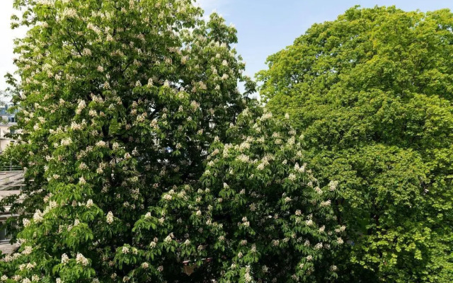 The Hotel Luzern, Autograph Collection