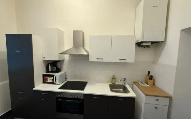 Spacious 3BR Apt Heart of Vienna
