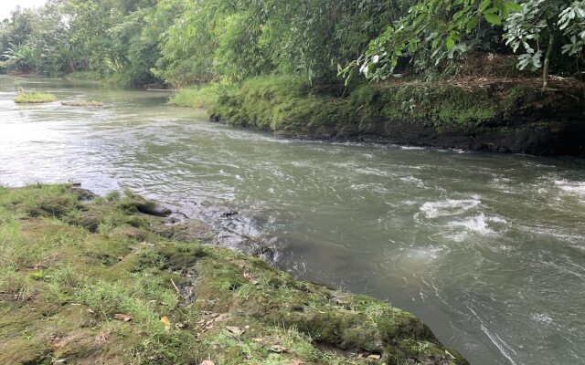Teratai Biru River Camping Ground