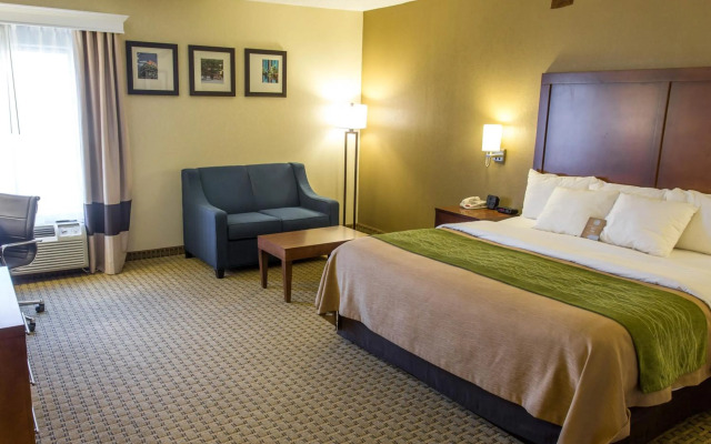 Comfort Inn Hammond