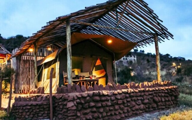 Cheetah Tented Camp