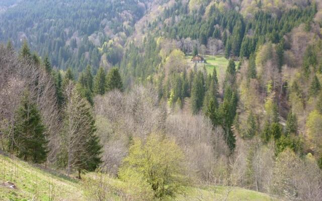 Appartement Saint-Jean-d'Aulps, 1 pièce, 4 personnes - FR-1-573-37