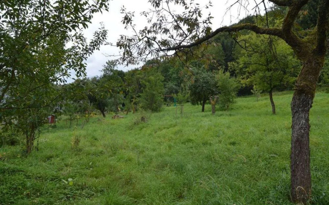 Cozy Apartment in Immerath near Fishing