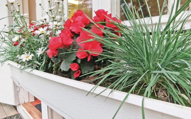 Awesome Home in Färjestaden With 1 Bedrooms and Wifi