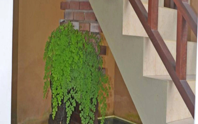 Palitha Guesthouse Hotel Dandelion