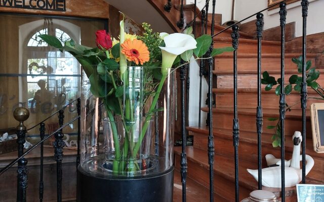 Au Bonheur d'Alphonse