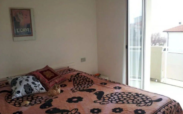 Pet Family Camping Cortina