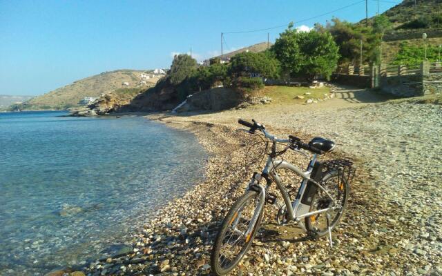 Andros Luxury House