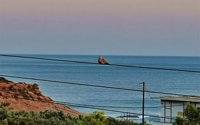 Apartments With Garden View Creta Ierapetra