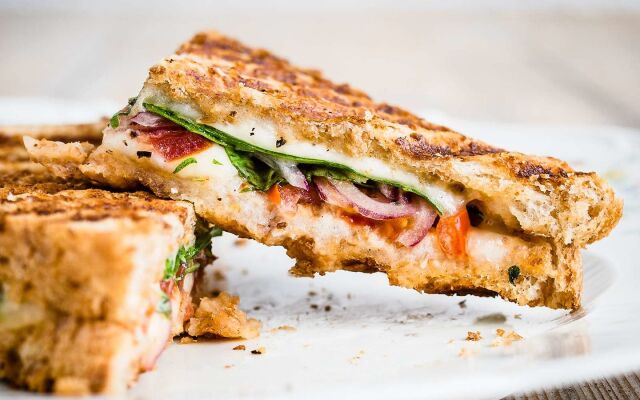 YO1 Longevity & Health Resorts, Catskills