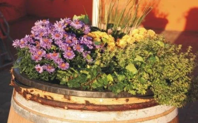 Schnitzelschmiede & Pension Bäumchen