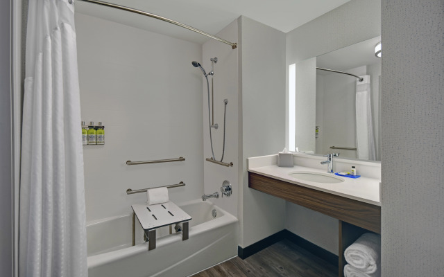 Holiday Inn Express Houston - Galleria Area by IHG