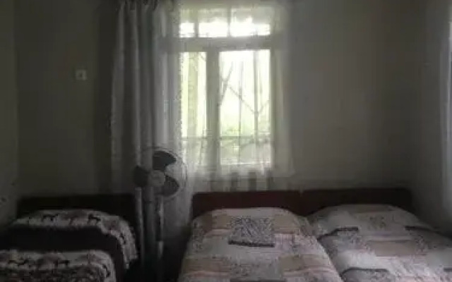 Guset House U Morya