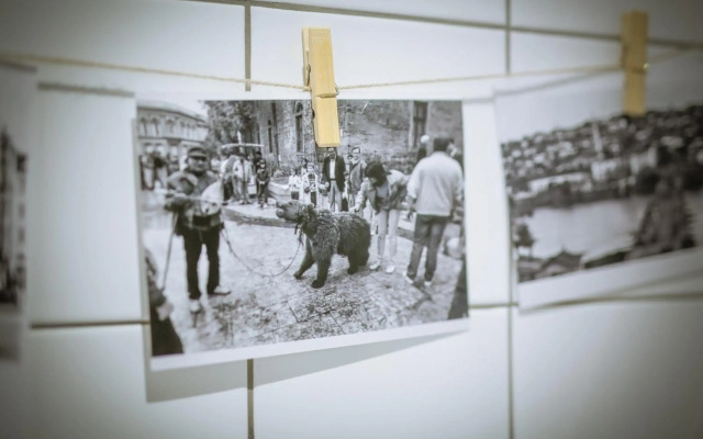 Beautiful best location apartment Red Mouse