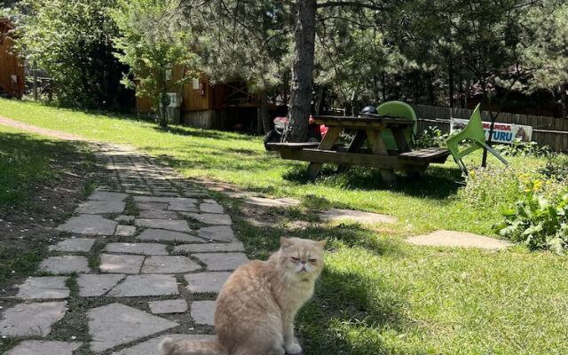 Nesilce Tatil Köyü