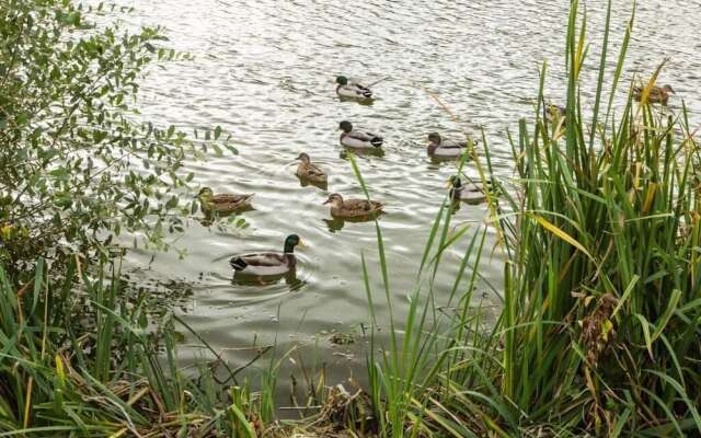 Rosedale Lakeside Lodge