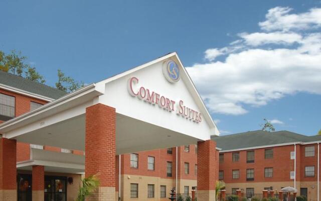 Comfort Suites Arena