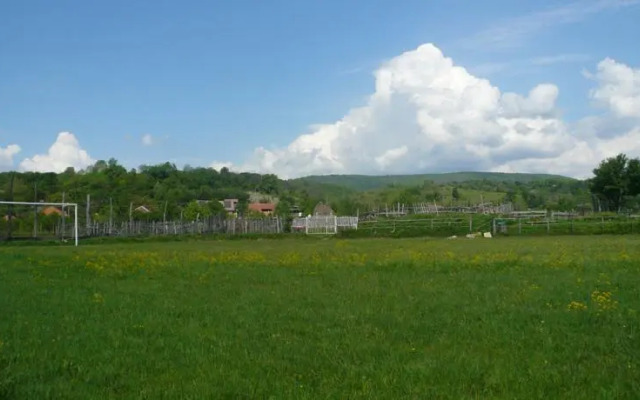 Agro-pensiunea "Plaiul Castanilor"