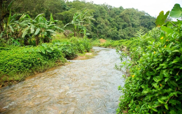The Nest Bettathur Coorg