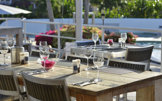 Chogogo Dive & Beach Resort Curacao