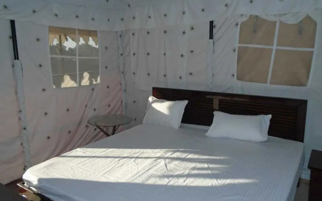 Pine pioneer the eco resort