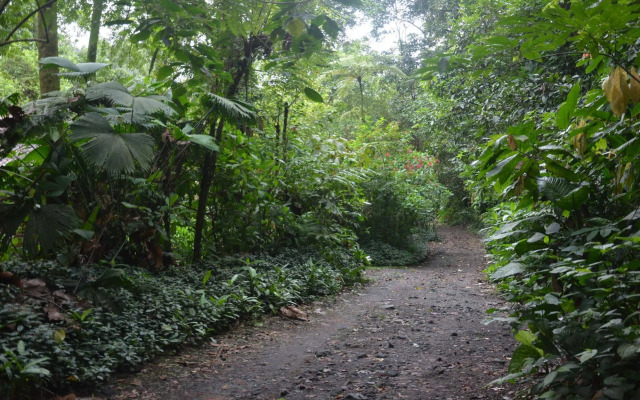 Arenal Oasis Eco Lodge