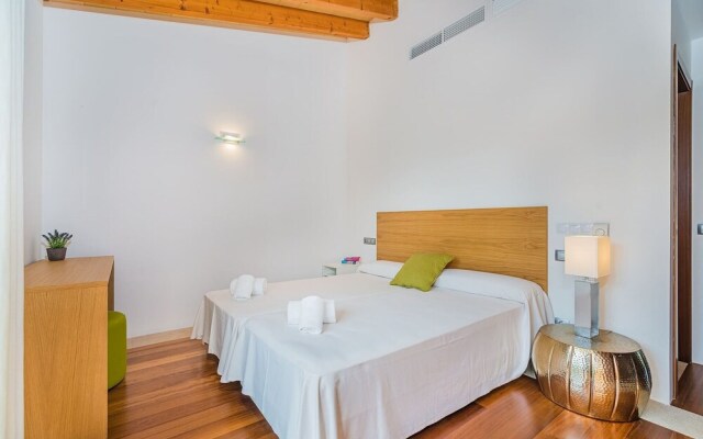 NEW 2020 - Empaltada