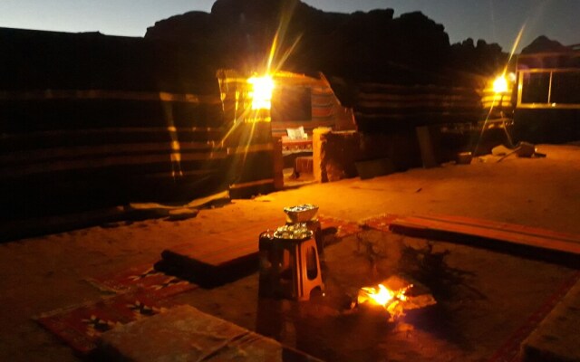 Wild Wadi Rum