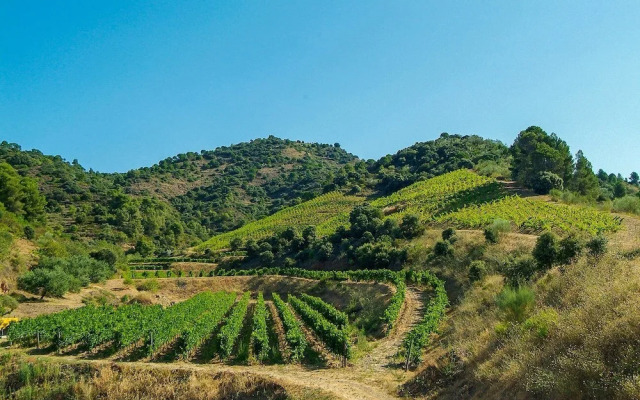 Gran Hotel Mas d' en Bruno