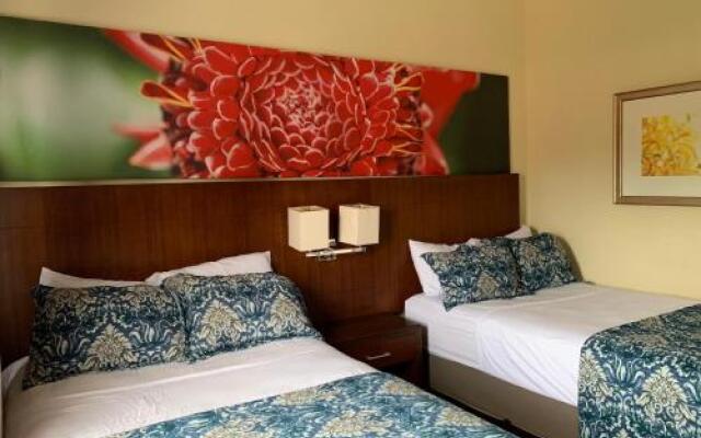 Jaco Sol Quadplex 11A