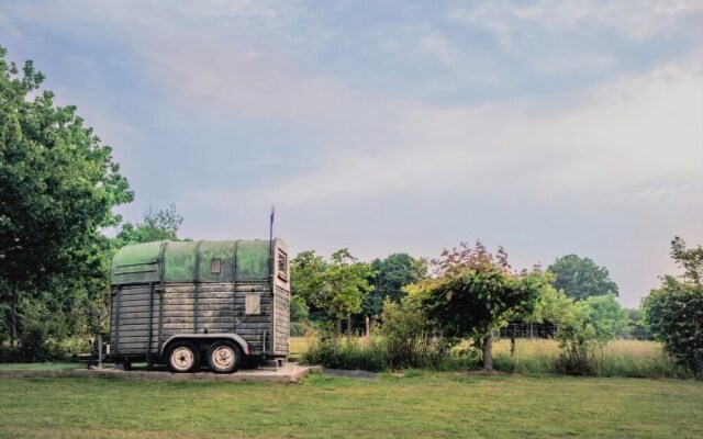 The Yurt at Hollands Farmhouse - Campsite