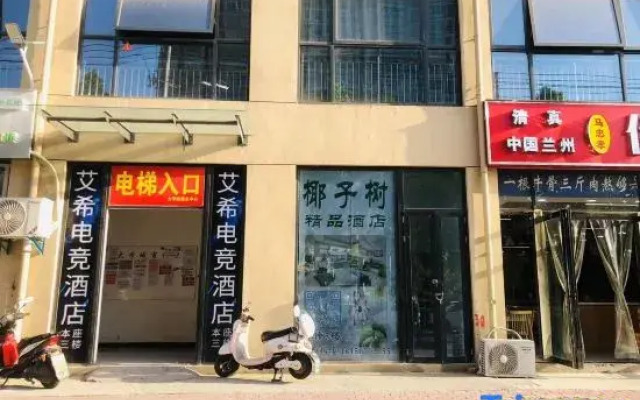 Cangzhou Coconut Tree Homestay