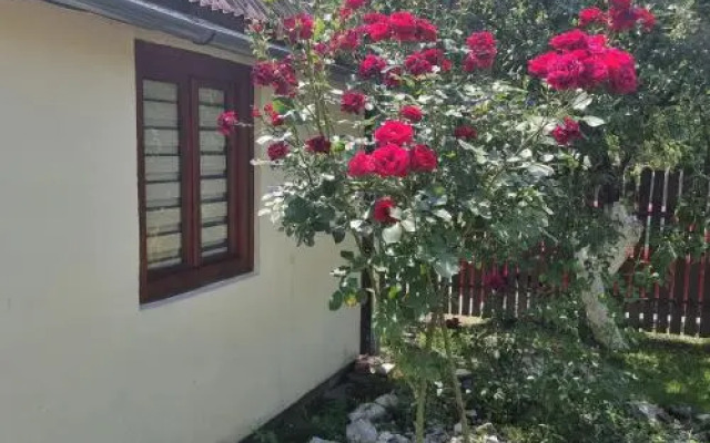 Vila Paula